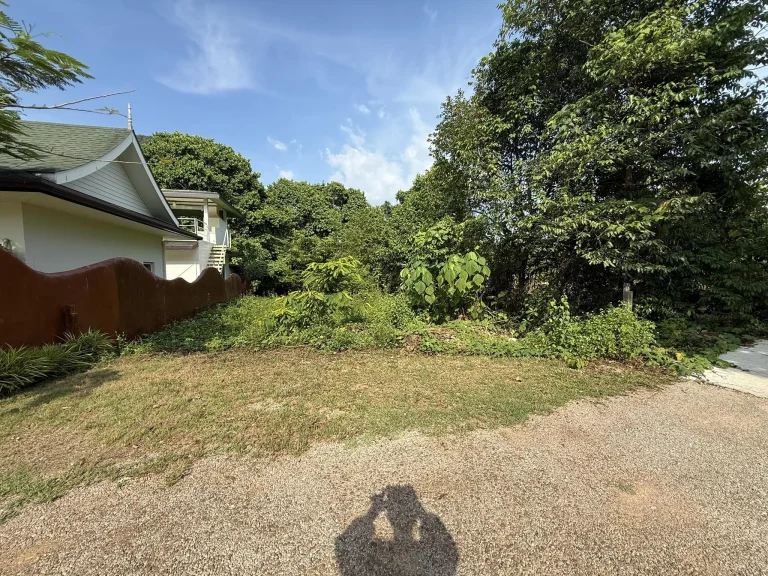 Mountain View Land Plot